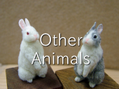 Animals - Others